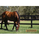 Waratah Flex Rail Electric Black 150m