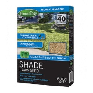 Shade lawn Seed