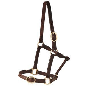 Horse Halter Leather Brown