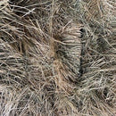 Square Bale Teff Hay 