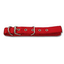 Bb Dog Collar Webbing