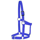 Rancher Foal Halter