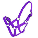 Rancher Foal Halter