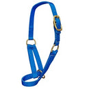 Calf Halter Nylon Blue