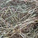 Round Bale - 4x4 Colac / Rye 25/26 Cb