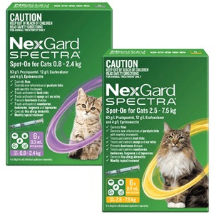 Nexgard Spectra Cat [vol:3 Pack Var:.8-2.4kg] 