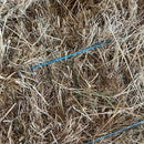 Square Bale Pasture Hay 25/26 Cb