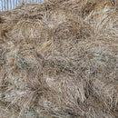 Square Bale Pasture Hay 25/26 Cb