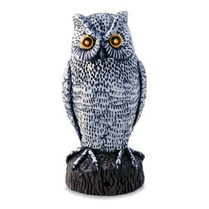 Motion Sensor Owl