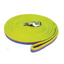 Nylon Lunge Lead Brite Royal/pink/lime 