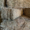 Hs Hay Low Sugar Square Bale Brome 6% Wsc