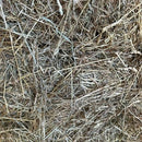 Hs Hay Low Sugar Square Bale Brome 6% Wsc