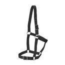 Rancher Halter