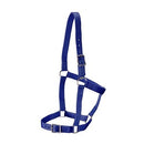 Rancher Halter