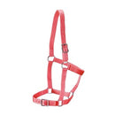 Rancher Halter