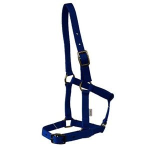 Rancher Foal Halter [cr:blue]