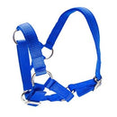 Bb Alpaca Halter Blue 