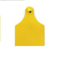 Allflex Large Ear Tag Male - 05