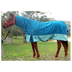 Horse coat Synthetic Winter Combo