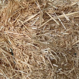 Barley Straw Bale