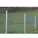 Waratah Gal Extreme Starpost