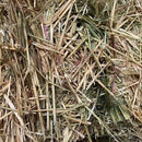 Oaten Hay Bale