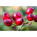 Rosehip Granules