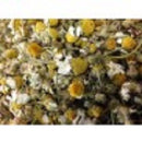 CHAMOMILE FLOWERS