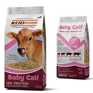 Reids Baby Calf