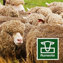 Rumevite Stud Ram Rations
