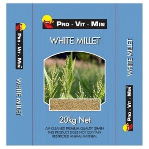 White Millet