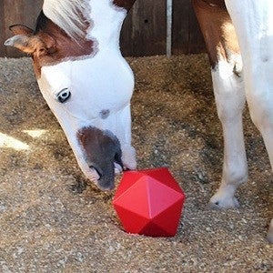 HORSE TOY DRIP FEED BALL