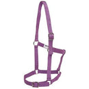 Rancher Halter