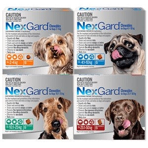 Nexgard Dog Chews Flea/tick