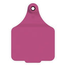 Leader Cattle Tag Female