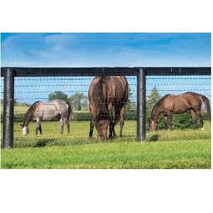 V-mesh Horse Fence