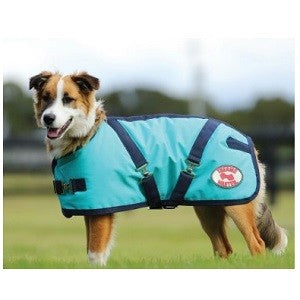 Supreme Dog Coat Teal/navy