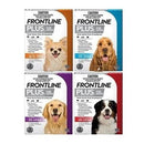 dog flea and tick protection