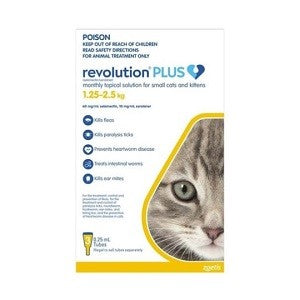 Revolution Plus Cat