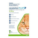 Revolution Plus Cat