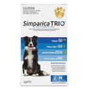 Simparica Trio for worms fleas and ticks