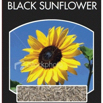 Black Sunflower Seeds