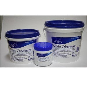 POTTIES WHITE OINTMENT
