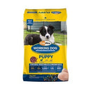 Coprice Working puppy