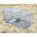 Collapsible Cat/possum Trap
