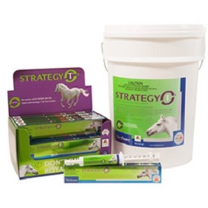 STRATEGY T HORSE WORMING PASTE