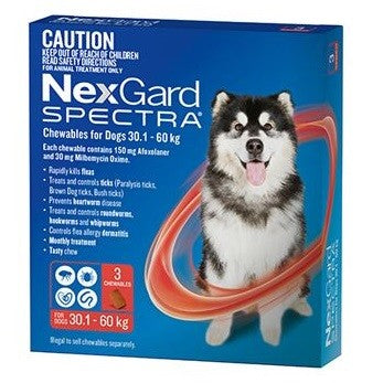 Nexgard Spectra Chews