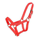 MINI PONY HALTER