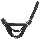 Halter Calf Tethering Nylon